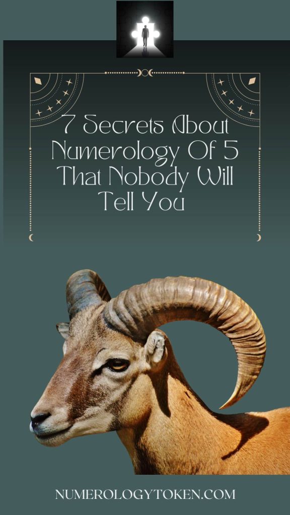 7 secrets about numerology of 5 that nobody will tell you