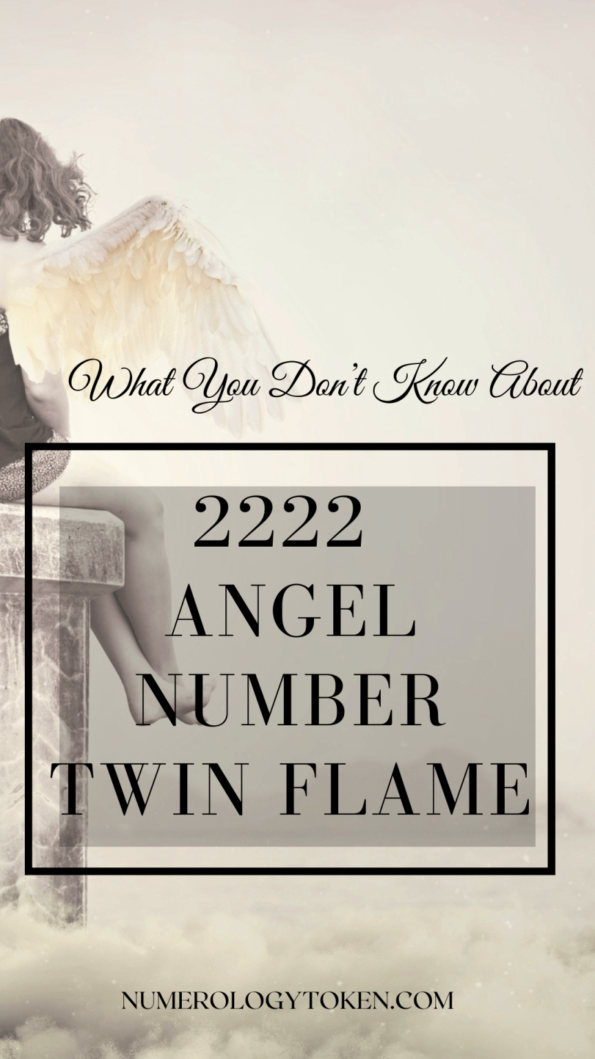 2222 angel number twin flame