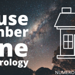 house no 9 numerology
